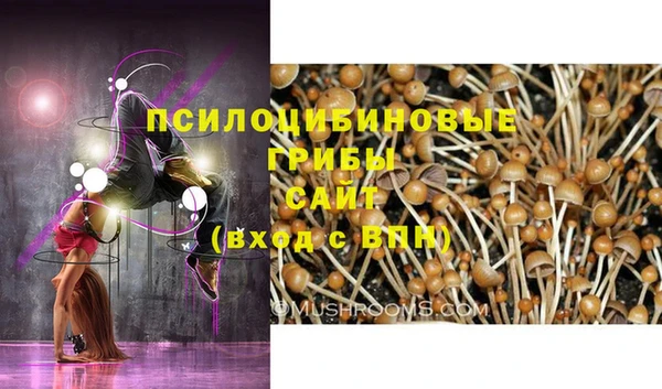 мескалин Алексеевка