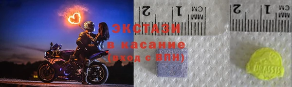 стаф Алзамай