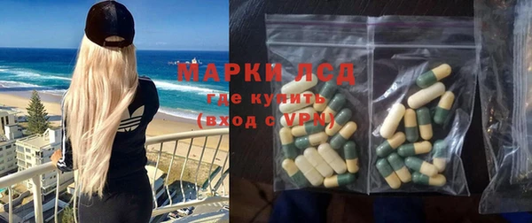 стаф Алзамай